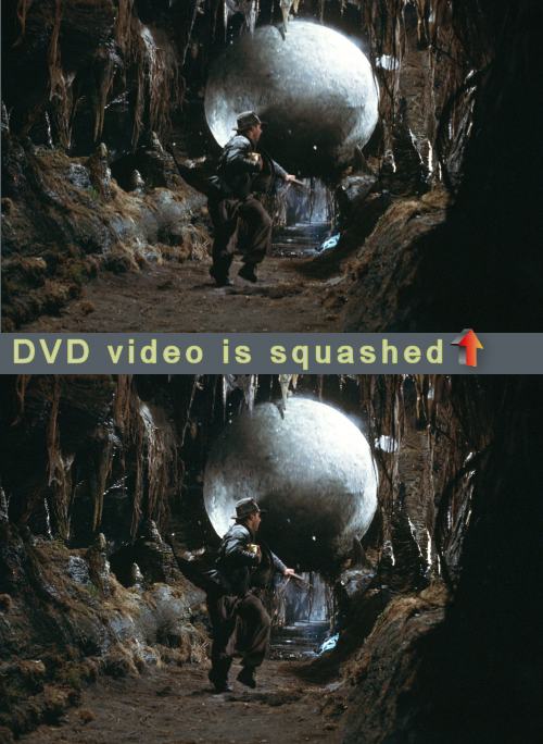 DVD squash
